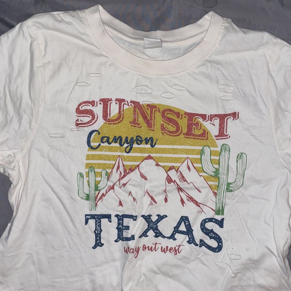 Distressed crop graphic tee